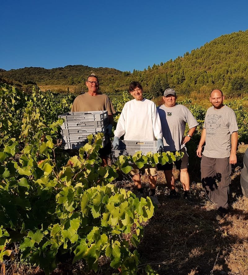 Domaine Cirrus, septembre 2019 - première vendange de rosé