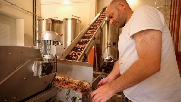 Automne 2023 - fin des vendanges au Domaine Cirrus