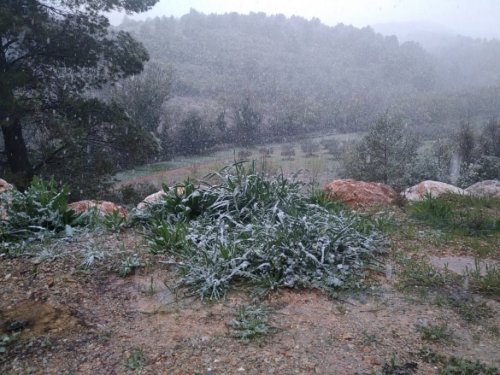 neige sur Durban-Corbières, mars 2020