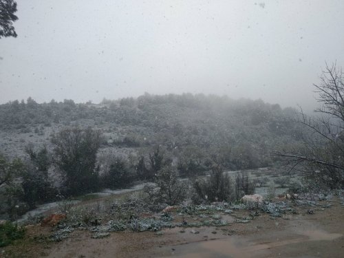 neige sur Durban-Corbières, mars 2020