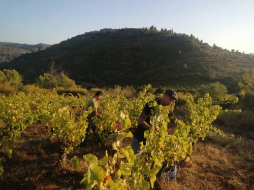 Corbières, septembre 2020