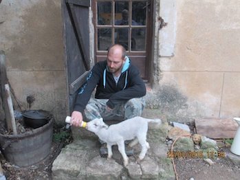 Paul Rapacz nourrissant l'agneau orphelin au biberon